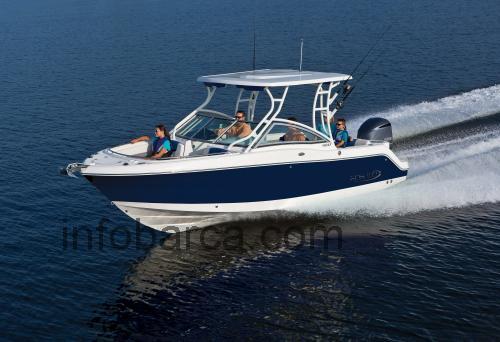 Robalo 247 recensioni e scheda tecnica